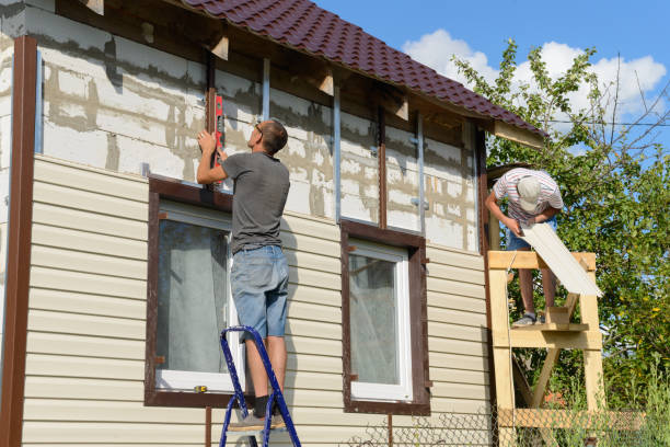 Best Custom Trim and Detailing for Siding  in Zebulon, GA