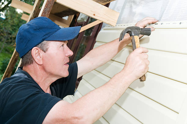 Best Custom Siding Design  in Zebulon, GA
