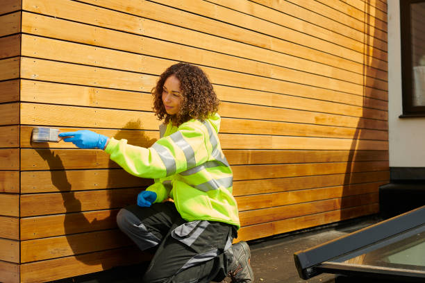 Best Brick Veneer Siding  in Zebulon, GA
